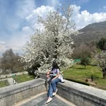 an_anya1590 profile picture