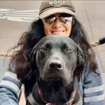 ana.lombrozo profile picture
