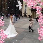 anabelpperez profile picture