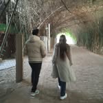anam_ali191225 profile picture