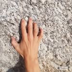 ana_margarida_jeronimo profile picture