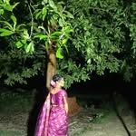 anamika_____nath125 profile picture