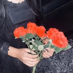 anam_mumtaz_awan profile picture