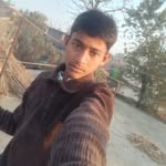 anamul_bh profile picture