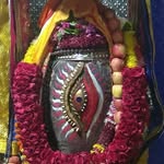 anandparmar2362 profile picture