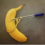 anandshankar747 profile picture
