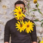 ananthkumar__ profile picture