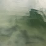 anapescoto profile picture