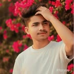 anask_han2074 profile picture
