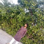 anass_malans profile picture