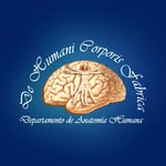 anatomiahumanauanl profile picture
