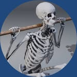 anatomy.of.motion profile picture