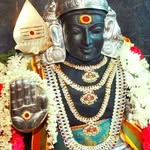 andavarm6 profile picture