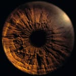 ander__scott profile picture