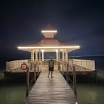 anderson_andree_ profile picture