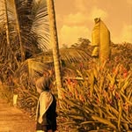 andin.diary_ profile picture