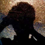 andpratikrathod profile picture