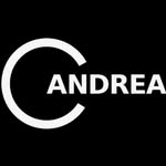 andreacellerinostudio profile picture