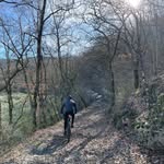 andreafusimartinucci profile picture