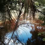 andres__altamirano profile picture