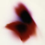 andresjc profile picture
