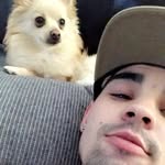 andresooares5 profile picture