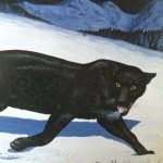 andrewlichtenstein profile picture