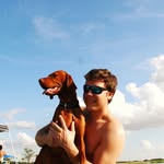 andrewstiner profile picture