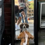 andy_swartz profile picture