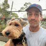 andytomlee profile picture