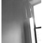 anecho__ profile picture