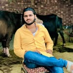 aneebrehmani11 profile picture