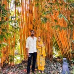 anees_ajaisal profile picture
