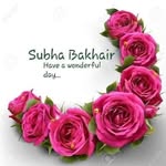 aneesshahawal profile picture