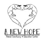 anewhopesanctuary profile picture