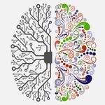 anfa_neuroarchitecture profile picture