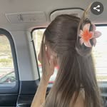 anfel2811 profile picture