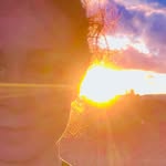 angela.reais profile picture