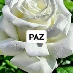 angelaarguelhes profile picture