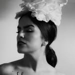 angelacarbajo profile picture