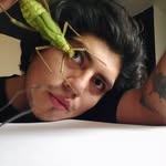 angelcbernal profile picture