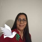 angelicachafino profile picture