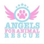 angels_for_animal_rescue profile picture