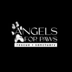 angelsforpaws profile picture