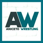 anicetowrestling profile picture