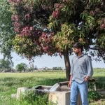 aniket.tln profile picture