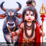 aniket15822 profile picture