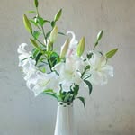 anikulhoque9382518767 profile picture