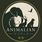 animalianworld profile picture