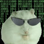 animalitosanti.depresivos profile picture